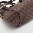 Louis Vuitton Damier Ebene Sistina PM Bag