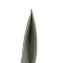 Gucci GG Matelasse Chevron Marmont Card Case White 443127