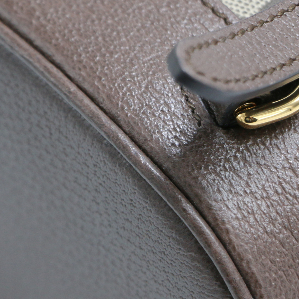 Gucci GG Supreme Mini Ophidia Backpack 795221