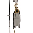 Christian Dior Mini Saddle White With Strap