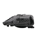 Louis Vuitton Damier Graphite Christopher Backpack