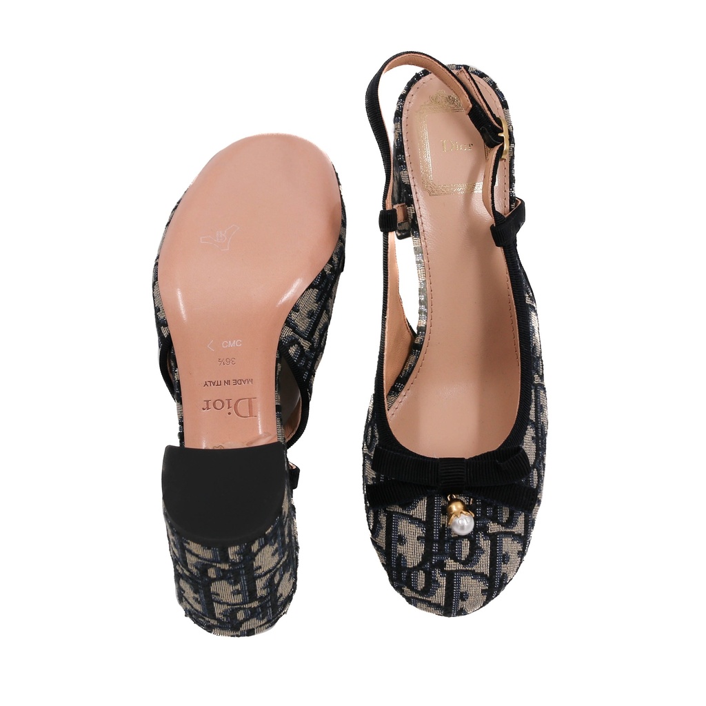 Christian Dior Idylle ballet heels in blue Iconic Toile de Jouy print Size 36 1/2