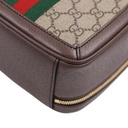 Gucci Ophidia GG Mini Top Handle Bag 772157