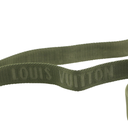 Louis Vuitton Felicie Strap & Go Monogram