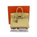 Hermes Birkin 25 Togo Palladium Year 2022