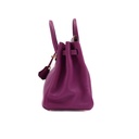 Hermes Birkin 25 Togo Purple