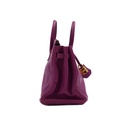 Hermes Birkin 25 Togo Purple