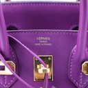 Hermes Birkin 25 Togo Purple