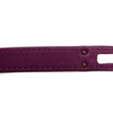 Hermes Birkin 25 Togo Purple