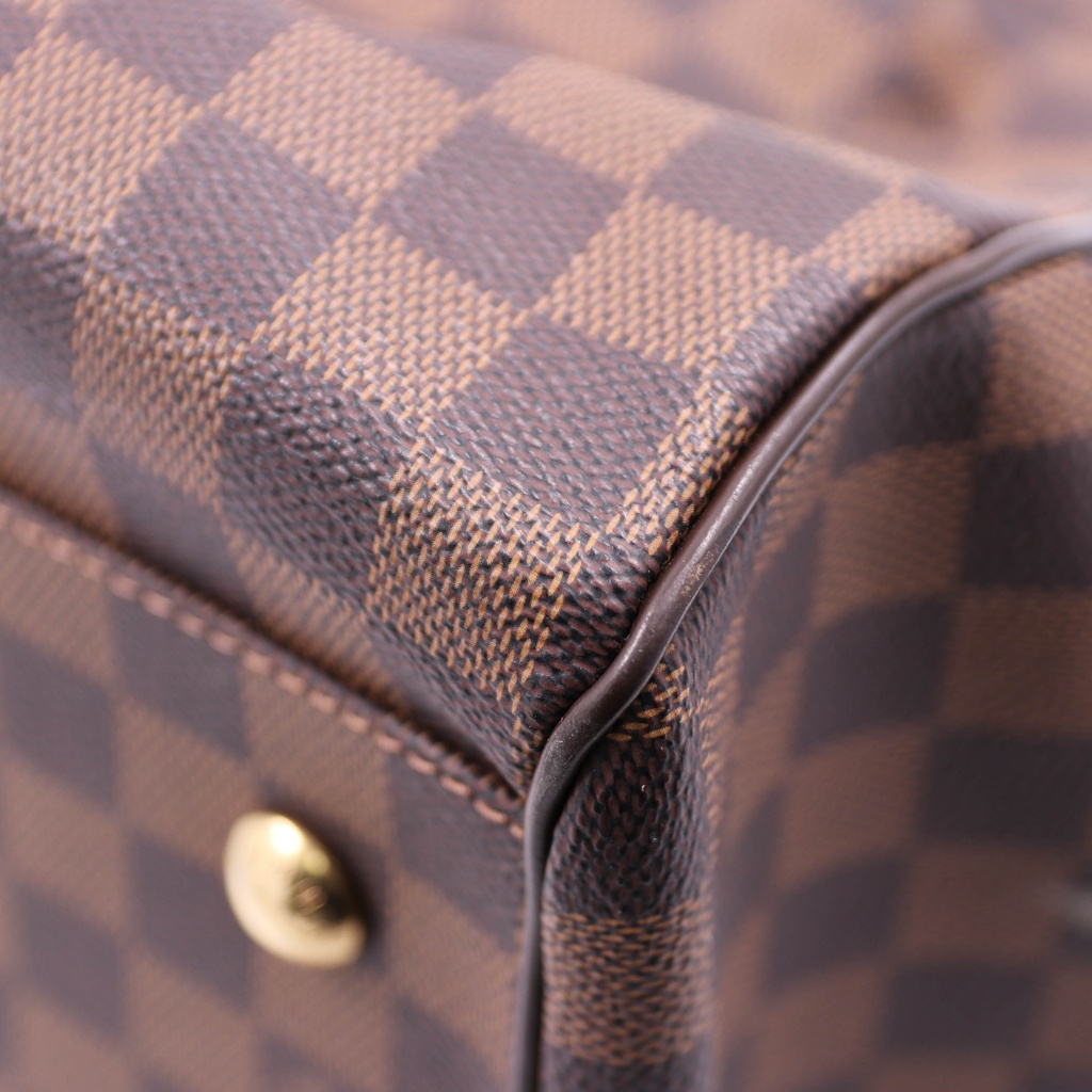 Louis Vuitton Damier Ebene Trevi GM Bag