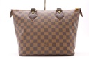 Louis Vuitton Damier Ebene Saleya PM Tote Bag