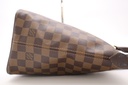 Louis Vuitton Damier Ebene Saleya PM Tote Bag