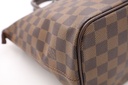 Louis Vuitton Damier Ebene Saleya PM Tote Bag