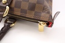 Louis Vuitton Damier Ebene Saleya PM Tote Bag