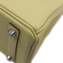 Hermes Birkin 25 Togo Palladium Year 2022
