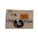 Louis Vuitton Bicolor City Steamer MM