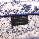 Christian Dior Medium Ecru and Blue Toile de Jouy Embroidery Book Tote 