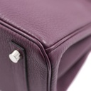 Hermes Birkin 25 Togo Anemone Silver Hardware Handbag Year 2022