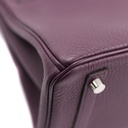 Hermes Birkin 25 Togo Anemone Silver Hardware Handbag Year 2022