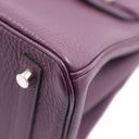 Hermes Birkin 25 Togo Anemone Silver Hardware Handbag Year 2022