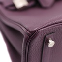Hermes Birkin 25 Togo Anemone Silver Hardware Handbag Year 2022