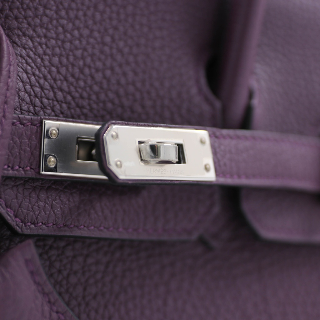 Hermes Birkin 25 Togo Anemone Silver Hardware Handbag Year 2022