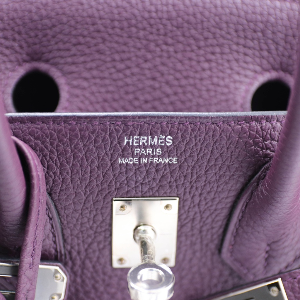 Hermes Birkin 25 Togo Anemone Silver Hardware Handbag Year 2022