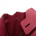 Hermes Birkin 25 Togo Ruby Gold Metal Fittings T:2015