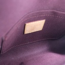 Louis Vuitton Monogram Favorite