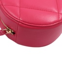 Chanel Goatskin Quilted Chanel 19 Round Clutch Pink