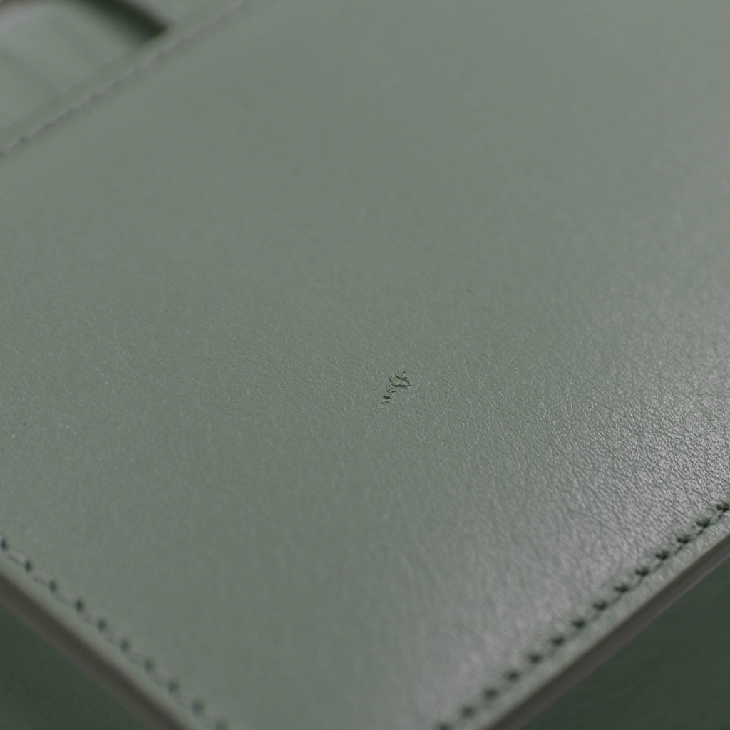 Christian Dior Calfskin 30 Montaigne Flap Bag Mint Green