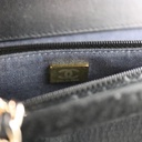 Chanel  Lambskin Plexi Quilted Wallet On Chain WOC Black