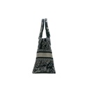 Christian Dior Canvas Embroidered Small Dioriviera Toile De Jouy Book Tote Blue