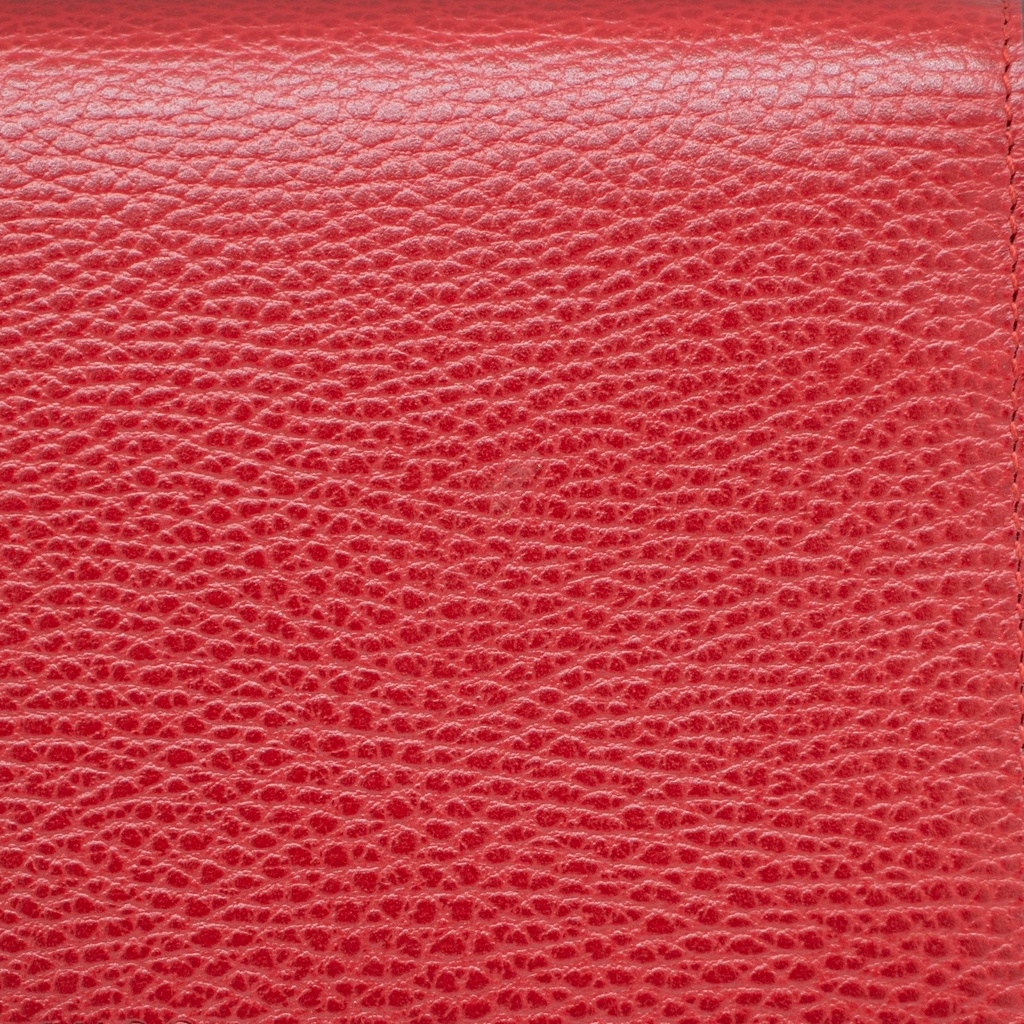 Gucci Mini Leather Dionysus Wallet on Chain Leather Crossbody Bag Red 401231