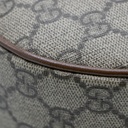 Gucci GG Half-Moon Shaped Mini Bag in Beige and Ebony 726843