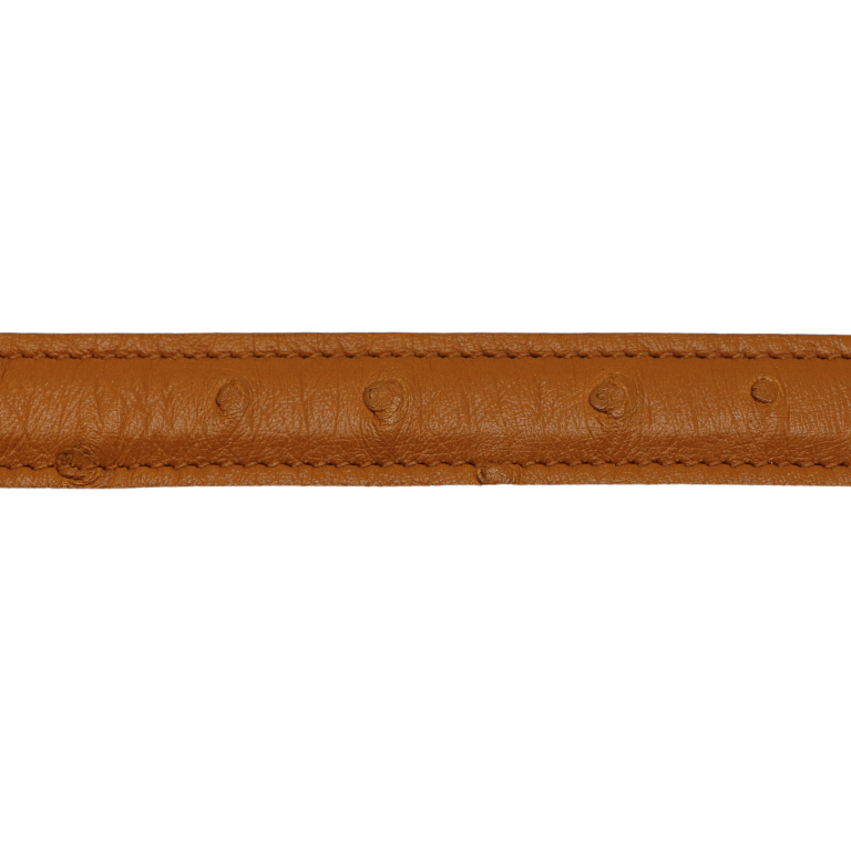 Gucci Ostrich G Buckle Thin Belt 75 30 723073