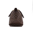Louis Vuitton Damier Ebene Saleya MM