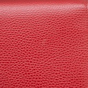 Gucci Mini Leather Dionysus Wallet on Chain Leather Crossbody Bag Red 401231