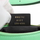 Fendi Vitello Grace Matte Small Fendigraphy Hobo Bag Edamame