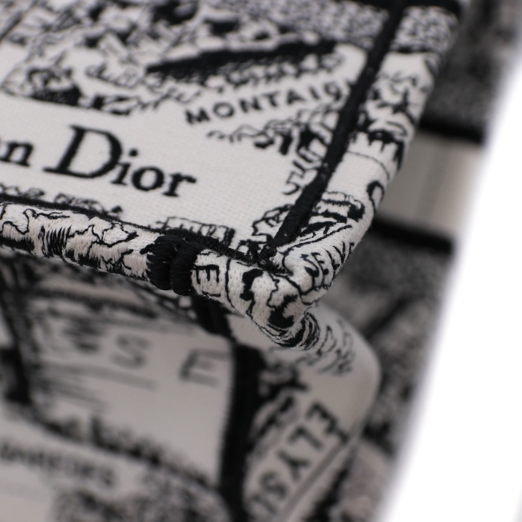 Christian Dior Embroidered Plan De Paris Small Book Tote White
