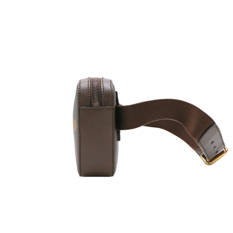 Gucci Logo Brown Leather Belt Bag 602695