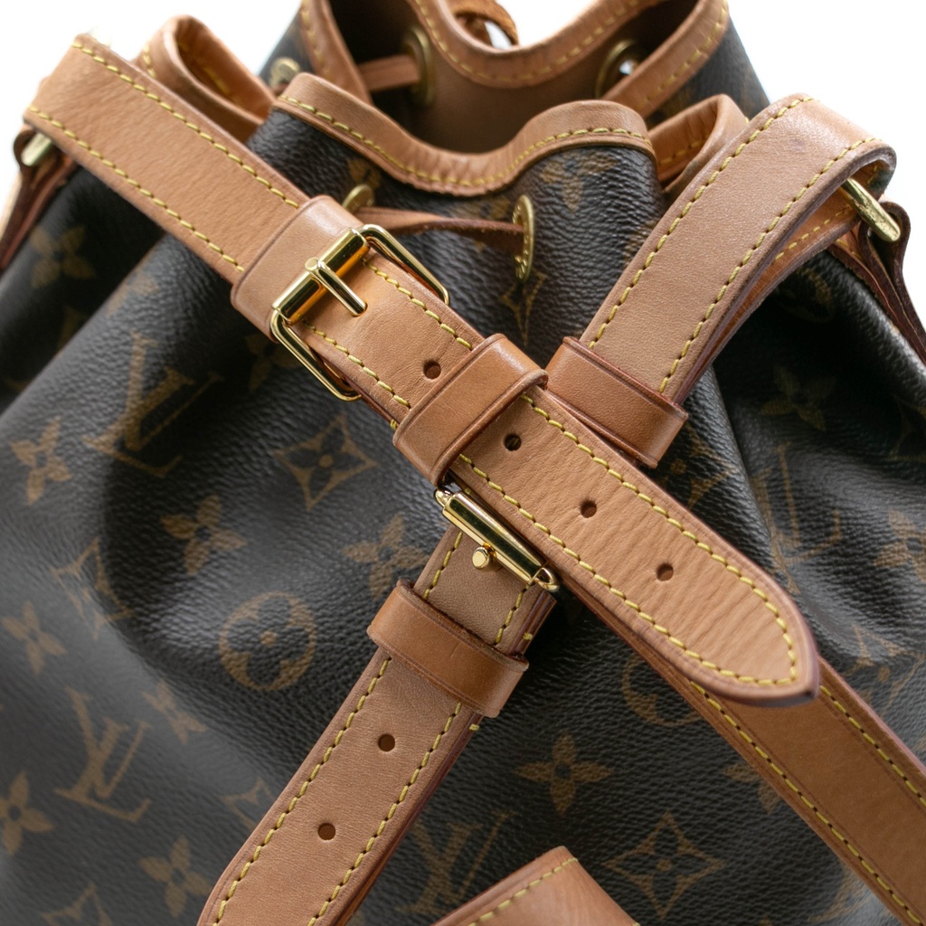 Louis Vuitton Monogram Noe BB