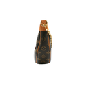 Louis Vuitton Monogram Loop Bag