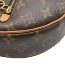 Louis Vuitton Monogram Loop Bag