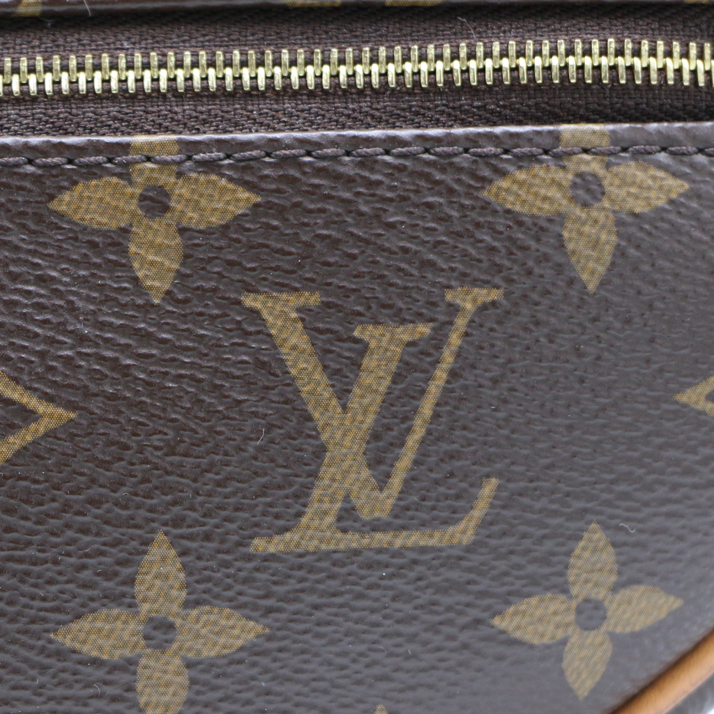 Louis Vuitton Monogram Loop Bag