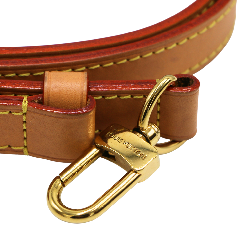 Louis Vuitton Monogram Loop Bag
