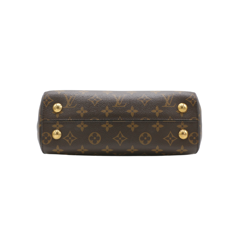 Louis Vuitton Monogram Cluny Handbag