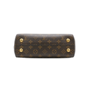 Louis Vuitton Monogram Cluny Handbag