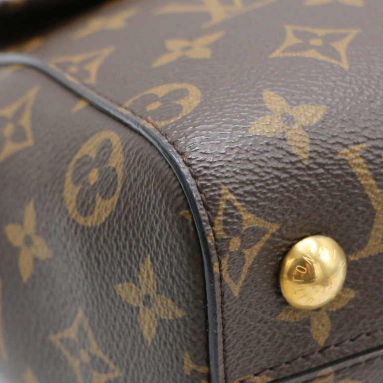 Louis Vuitton Monogram Cluny Handbag