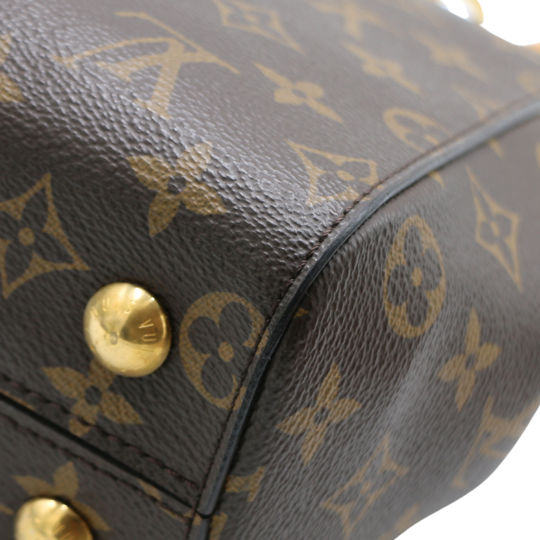Louis Vuitton Monogram Cluny Handbag